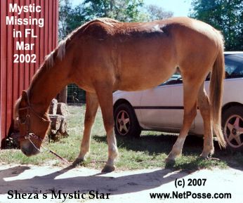 Sheza's Mystic Star